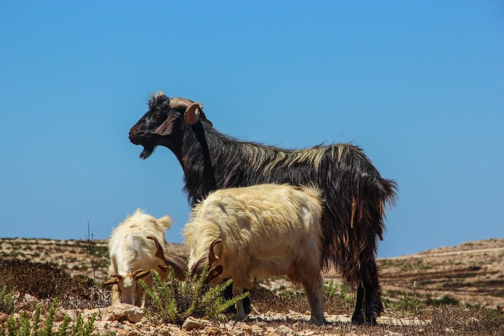 Agenzia Viaggi Lampedusa
