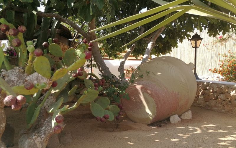 Agenzia Viaggi Lampedusa