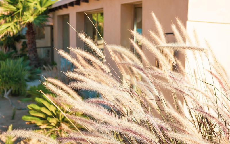 Agenzia Viaggi Lampedusa