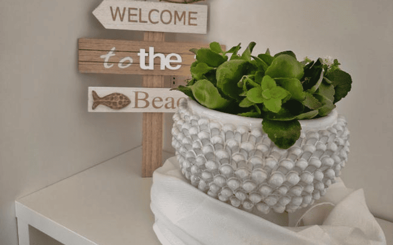 Agenzia Viaggi Lampedusa